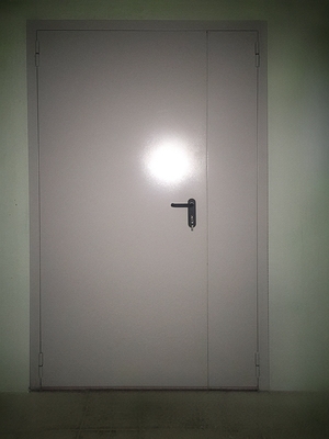 Глухая полуторная дверь